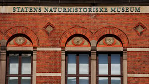 Tidligere fondsdirektør og konsulent: Flyt Naturhistorisk Museum ud af Københavns Universitet