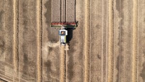 Landbrug & Fødevarer ønsker "fælleseuropæisk regulering" af landbrugets klimaudledninger – men vil ikke pege på konkret løsning