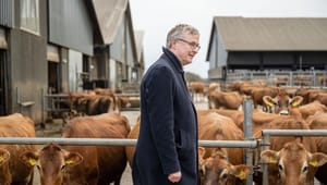 Danmark sidder for bordenden, når EU's landbrugsstøtte skal genforhandles. Nu udlægger fødevareministeren de danske prioriteter