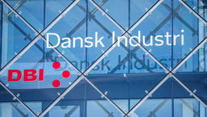 Dansk Industri finder ny vicedirektør i egne rækker