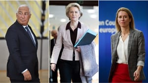Her er EU's nye topchefer: Høgen, mægleren og chefen