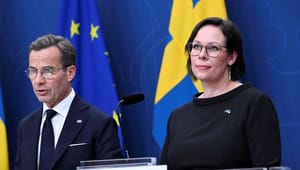 Sveriges nye udenrigsminister får en stejl læringskurve