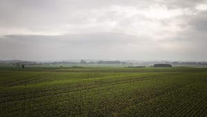 KL får projektleder for grøn trepart