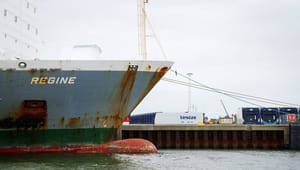 Danske Havne: Havnene er rygraden i den grønne omstilling, men der er brug for regelforenkling