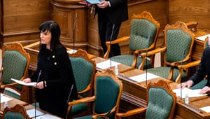 Abortråd og sundhedsreform: Her er Sophie Løhdes lovprogram