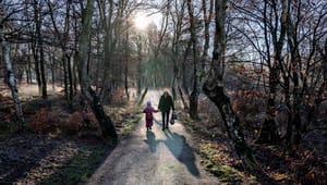 Eksperter byder ind i treparten: Her bør den nye beskyttede natur ligge 