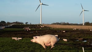 RGO og Dansk Erhverv: Treparten overser ét vigtigt hensyn