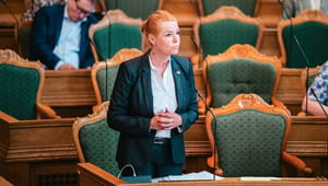 Inger Støjberg: 'Gift ved første blik' og SVM-regeringen er ikke så forskellige