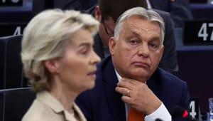 Historiker: Von der Leyen gav Viktor Orbán en verbal endefuld. Men hvis EU skal overleve, skal der mere til