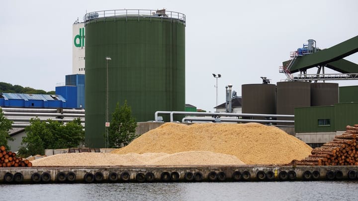 Dansk Skovforening i replik: Klimabevægelse overser helheden, når de kritiserer biomasse