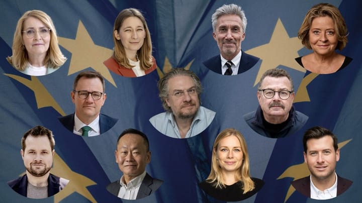 Hvem er de 11 spidskandidater til EU-valget? Mød dem her