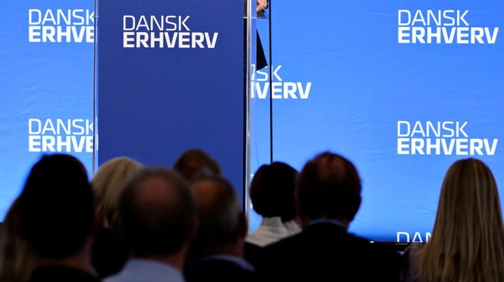 Dansk Erhverv udnævner ny forsvarspolitisk chef