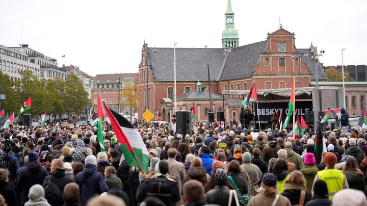 Borgerlige partier er uenige om, hvad statsstøttede ngo'er må mene 