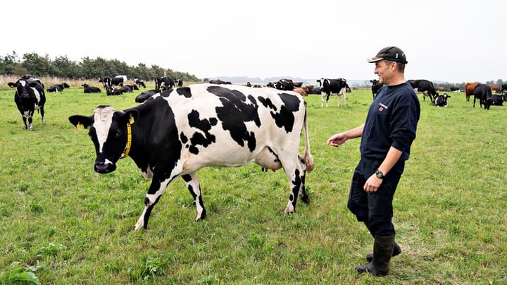 Kras kritik af EU’s landbrugsstøtte til økologi – pengene bliver brugt forkert, og det går for langsomt