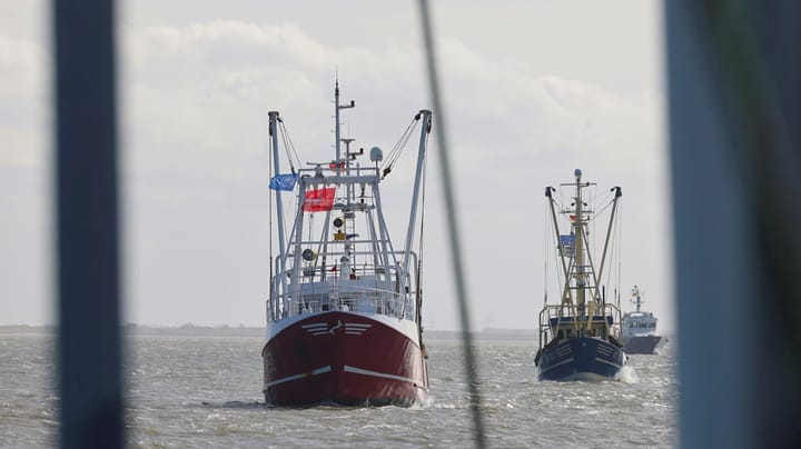 Heunicke om omstridt trawl-rapport: Det er ikke ministeriets opgave at lave kvalitetstjek af forskning