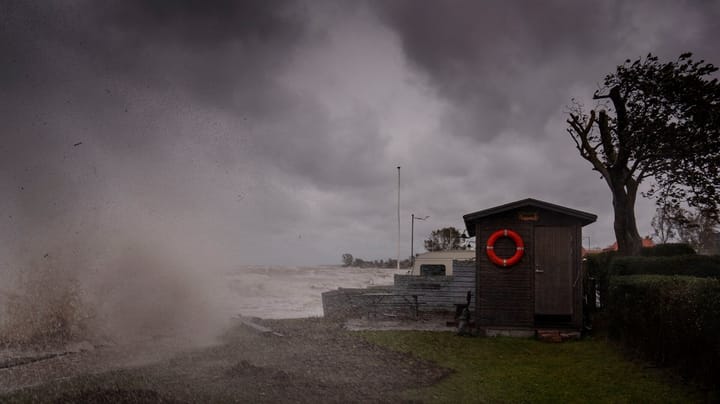 Ny rapport: Stormfloder kan skabe klimaflygtninge i Danmark